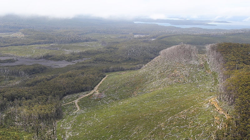 Senator Colbeck has published photographs he says show recent harvesting in some of the extended world heritage listed areas