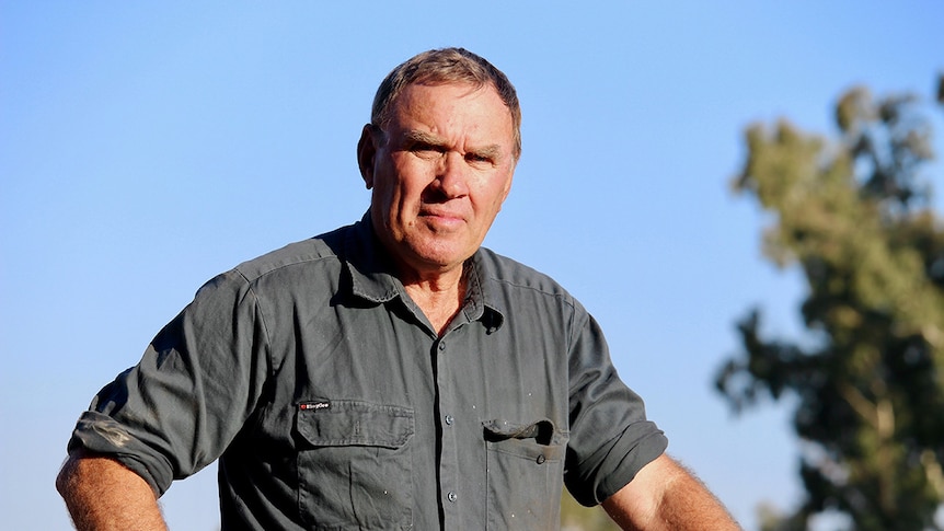 Grain farmer Wayne Dunford from Parkes stands and looks into the camera.