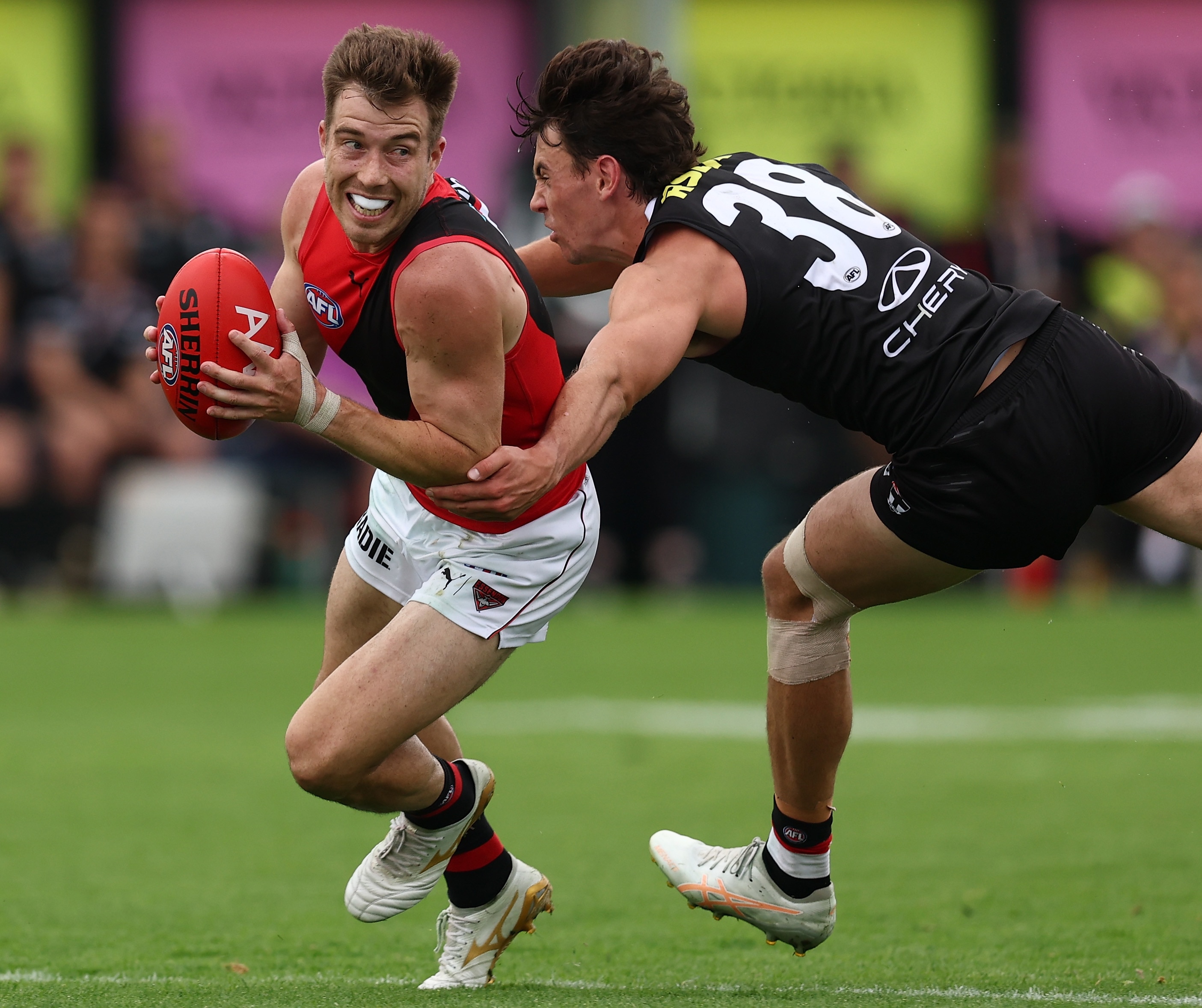 Live: Dons look to end nightmare streak against Saints as Port hosts Roos