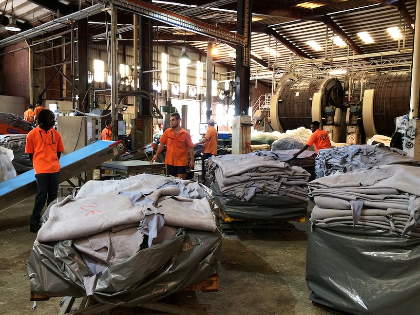 inside a tannery where skins are piled up in plastic packaging