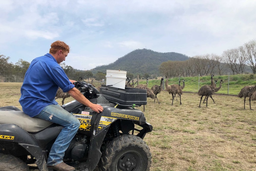 Stephen Pite rides a four-wheel motorbike in search off eggs