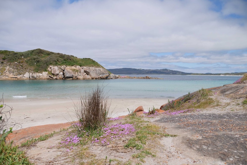 A rocky beach inlet.