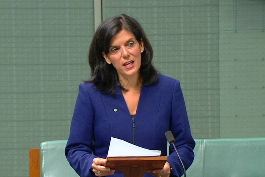 A woman stands while speaking in parliament.
