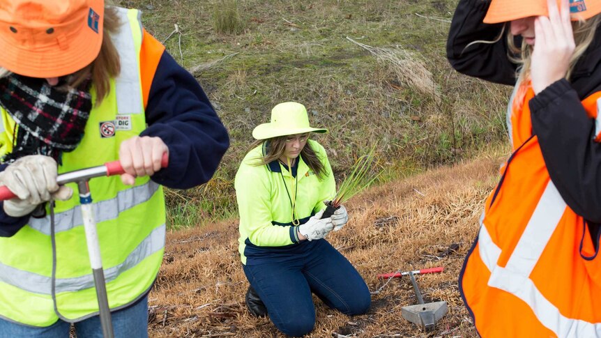 Breanna crouches with a seedling in her gloved hands between two students digging a hole.