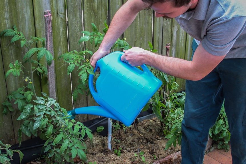 Together the brothers hope each garden they look after creates change in how people view people with autism and depression.