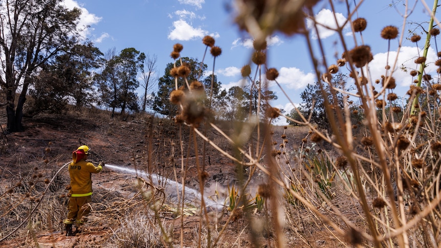 A Maui County firefighter fights flare-up fires in a canyon in Kula on Maui island, Hawaii, U.S., August 13, 2023.