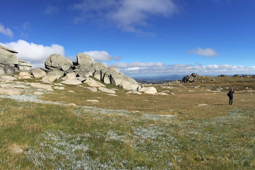 Alpine landscape of Kosciuszko with boulders and grass plains