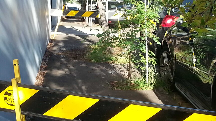 A pile of dead bees takes up three quarters of the width of a footpath, cordoned off by black and yellow barriers.