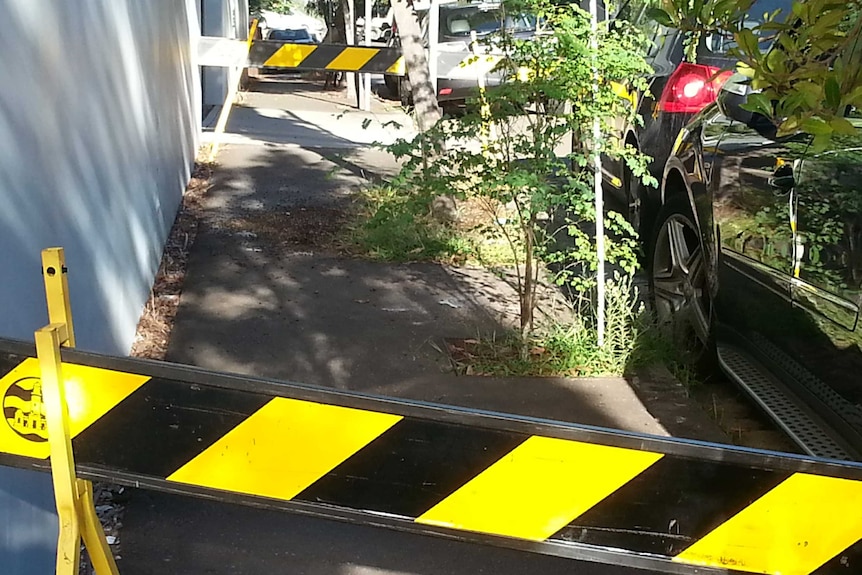 A pile of dead bees takes up three quarters of the width of a footpath, cordoned off by black and yellow barriers.