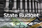 Treasurer grilled on budget cuts