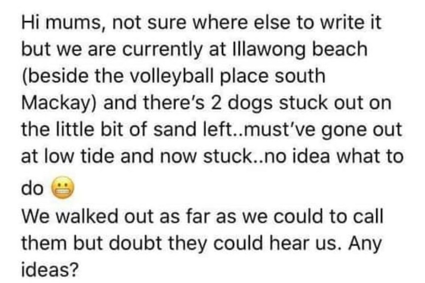 A screenshot of a Facebook post saying two dogs are trapped on a sandbar at a Mackay beach and asking for help.