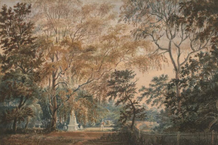 An archival drawing of a burial ground surrounded by Australian bush.