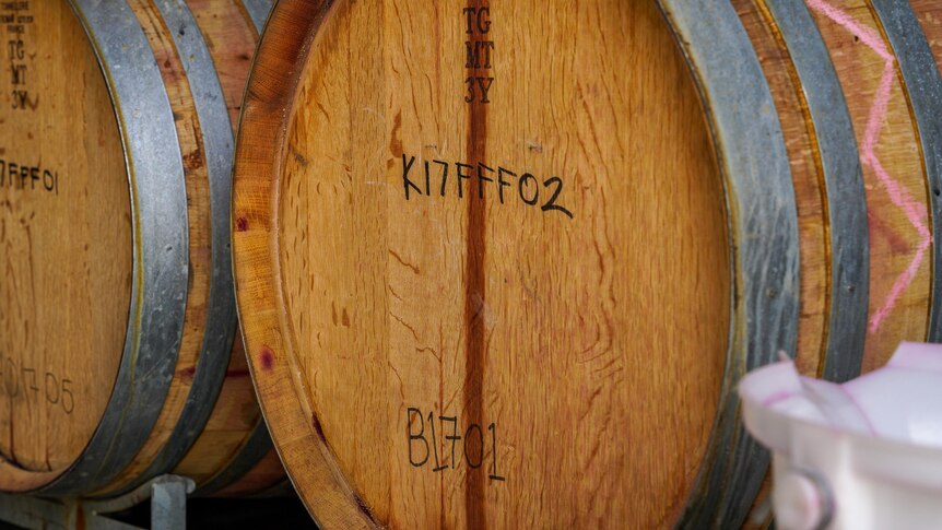 Barrels at winery. 