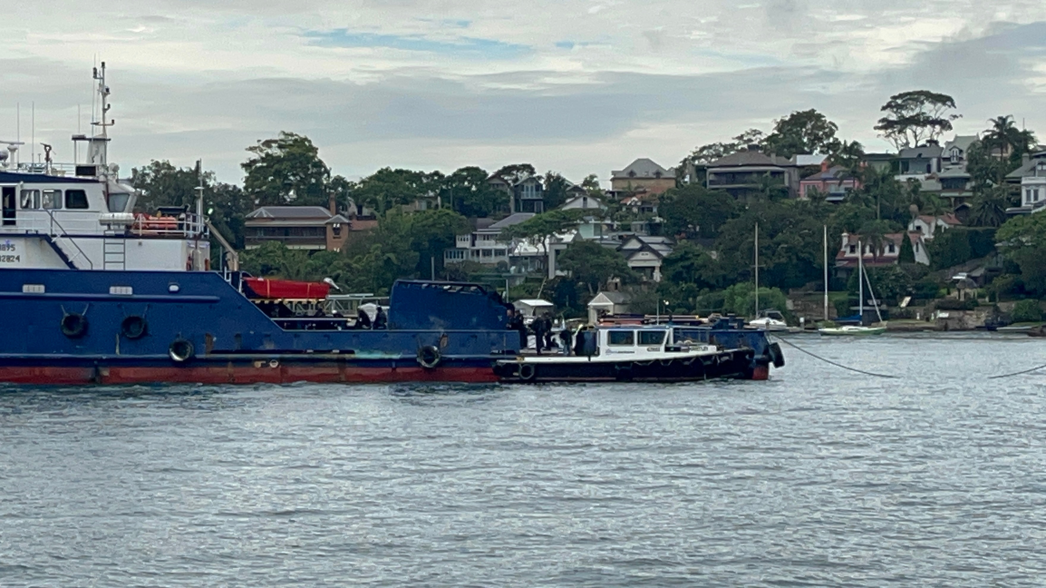 Cocaine vessel crew stuck in Sydney Harbour sent to immigration detention