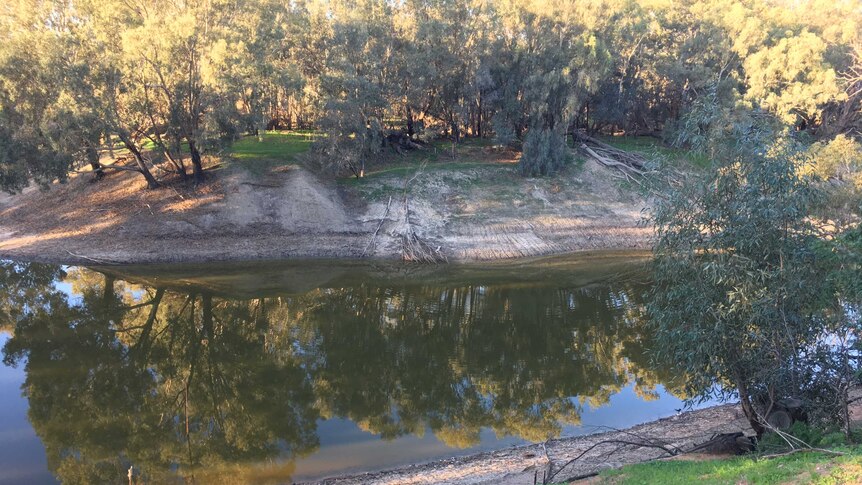 Brown water in the Darling River at Wilcannia.