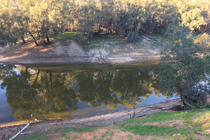 Brown water in the Darling River at Wilcannia