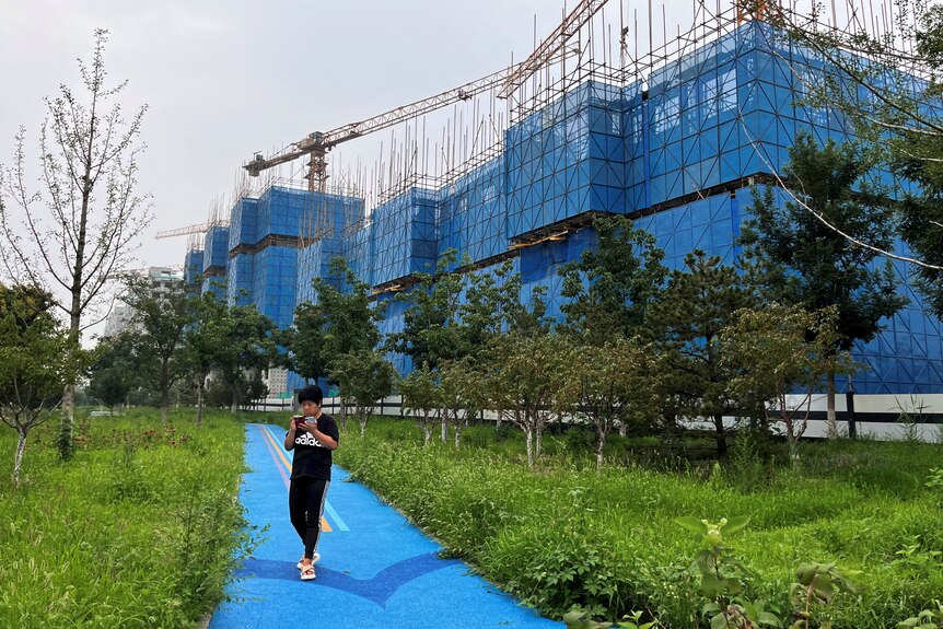 A person walks on a blue path surrounded by overgrown grass and weeds with a construction site in the background.