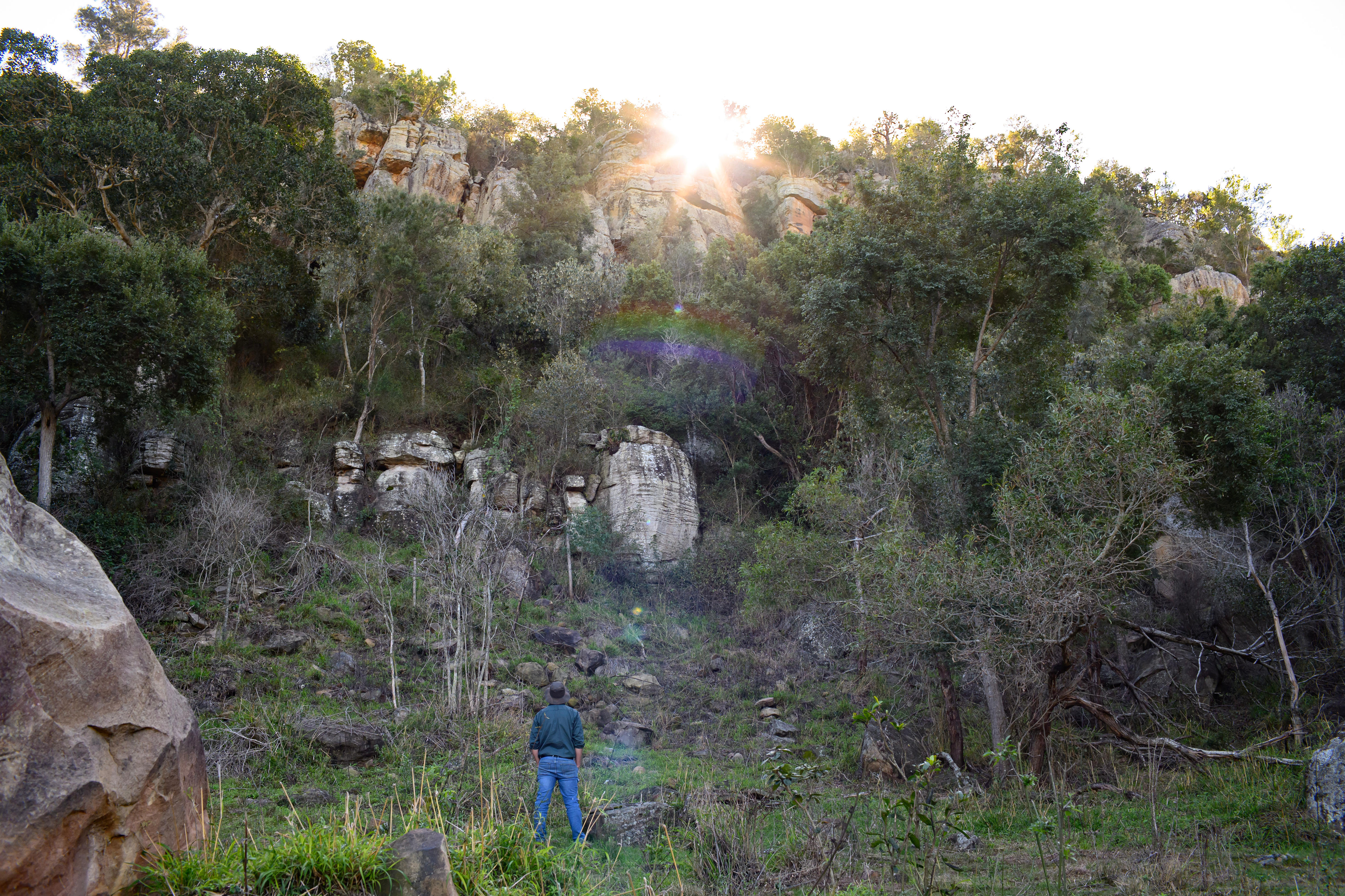 a man stares up at sandstone cliffs