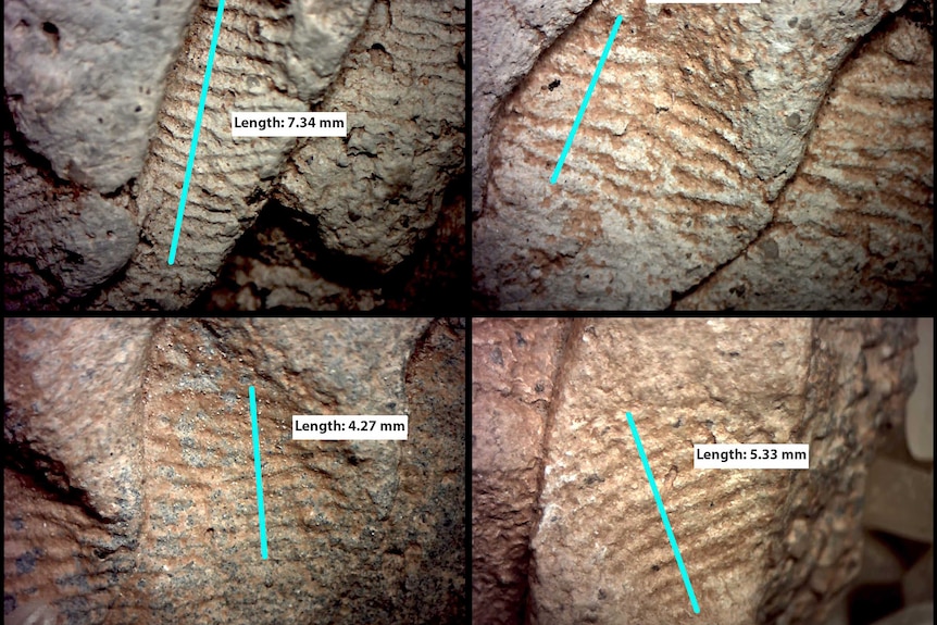 Close up of fingerprints an ancient pottery, you can see that there is a difference in the breadth of ridge width