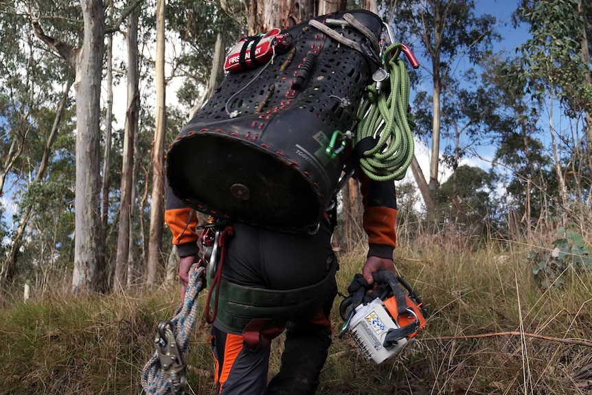 A man carrying tree climbing equipment through long grass.