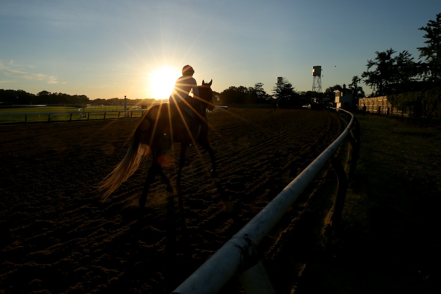 A horse and rider are silhouetted against the early morning sun as they run alongside a track barrier.
