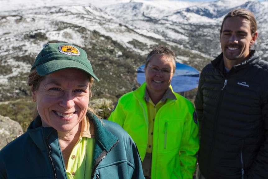 Weed officers in Kosciuszko National Park