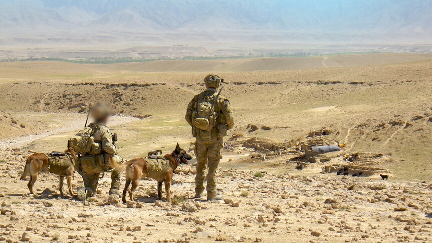 SAS soldiers with two dogs overlook a valley in Afghanistan in 2012.