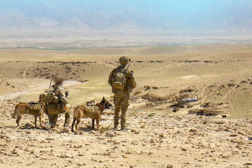 SAS soldiers with two dogs overlook a valley in Afghanistan in 2012.