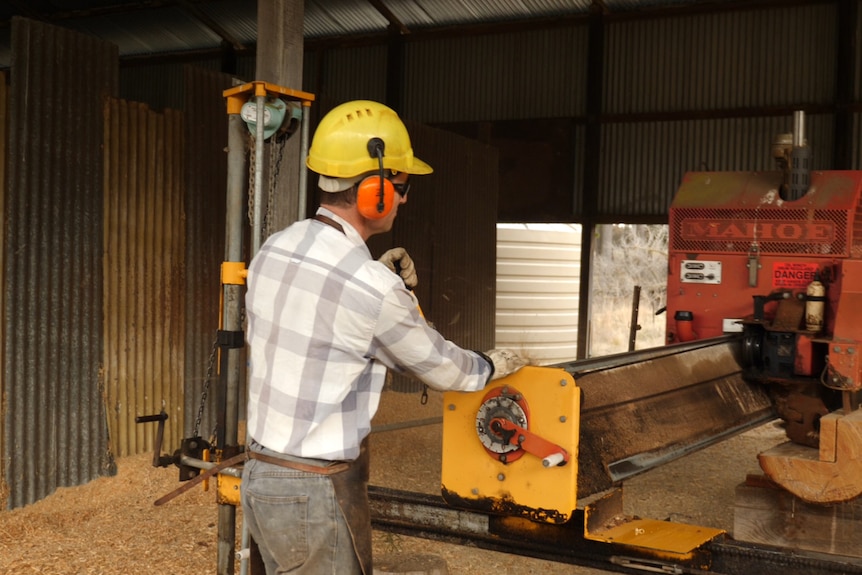 A man in a safety helmet and ear protection works on a sawing machine in a shed.