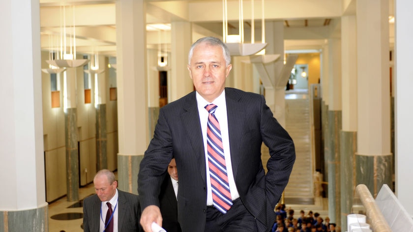 Malcolm Turnbull insists the Opposition must have an alternative ETS plan.