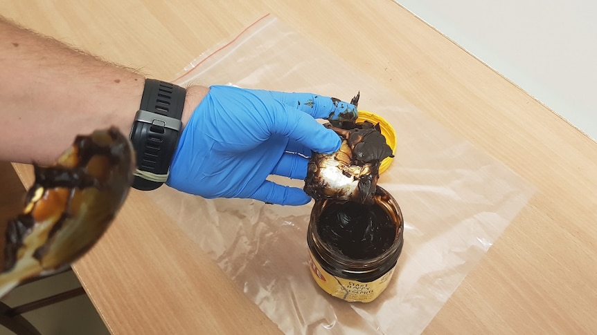 An officer with a blue glove on his hand lifts the lid on a jar of Vegemite