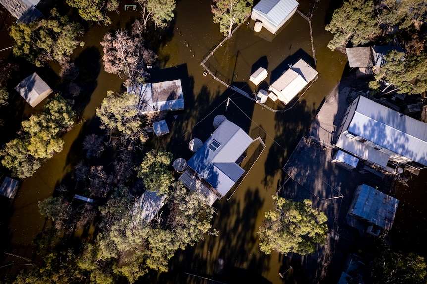 Flooded houses surrounded by brown water