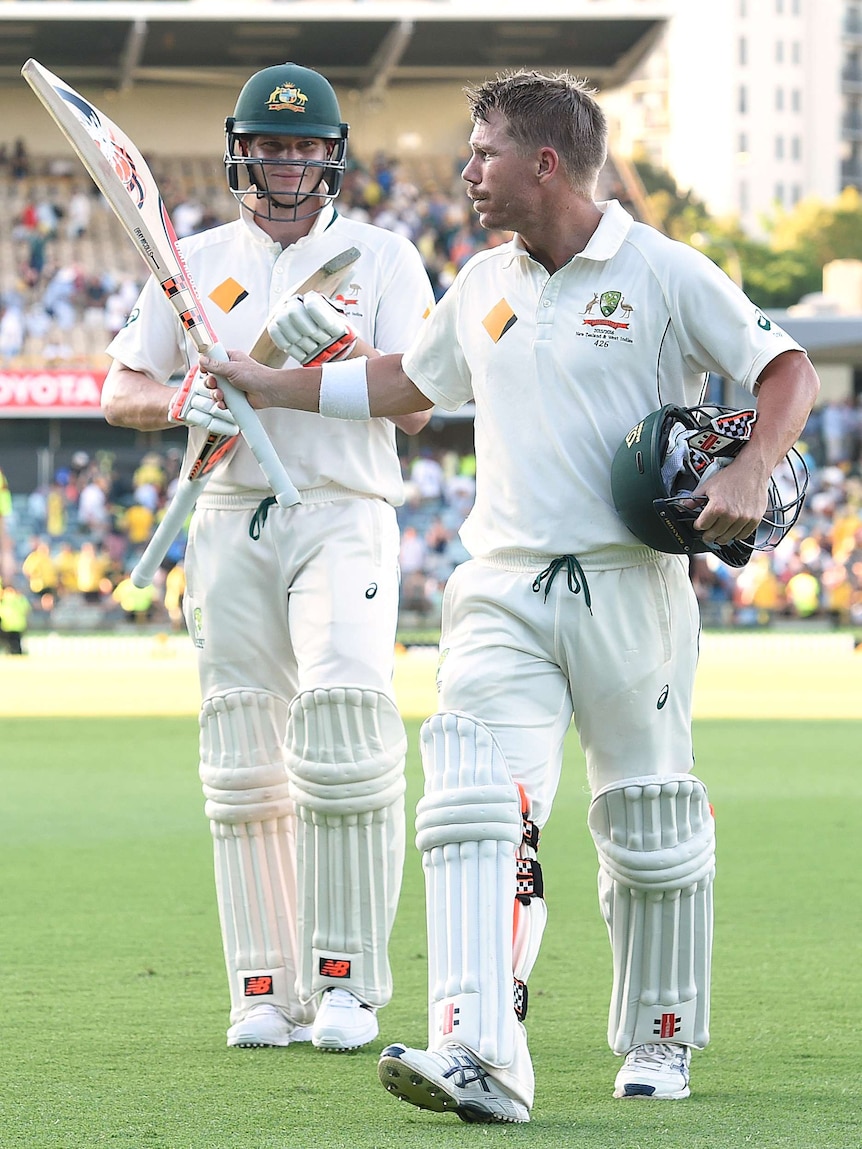 Australia's David Warner (R) raises his bat at stumps versus New Zealand in Perth in November 2015.