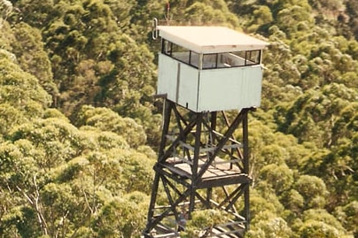 The Diamond Tree lookout in 1997.