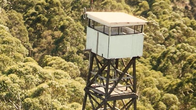 The Diamond Tree lookout in 1997.