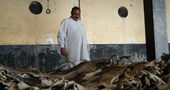 Leather trader Seth Satpal Mall amid hides.