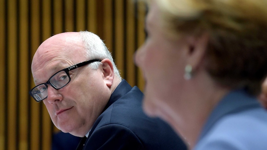 George Brandis looks towards Gillian Triggs during a Senate estimates hearing on February 24.