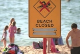 A sign saying beach closed on a beach with people in the background.