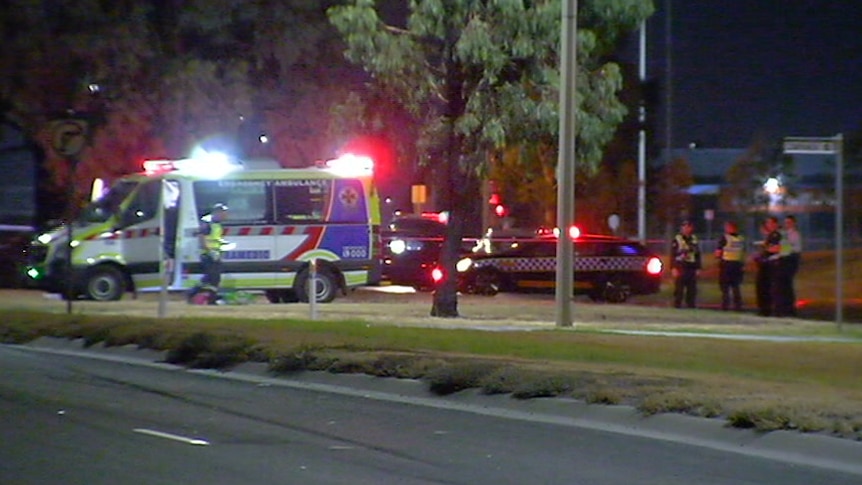 An ambulance and police cars parked on a median strip with their lights on.