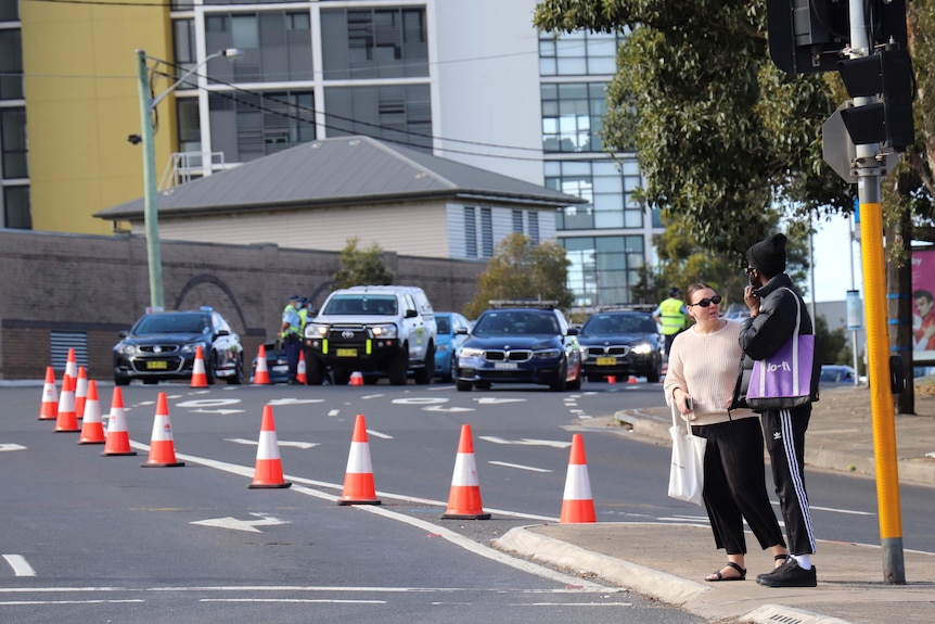 police stopping cars at a roadblock