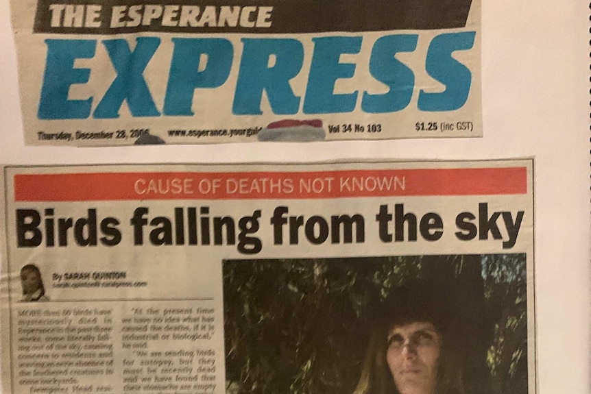 Esperance Express front page on lead contamination