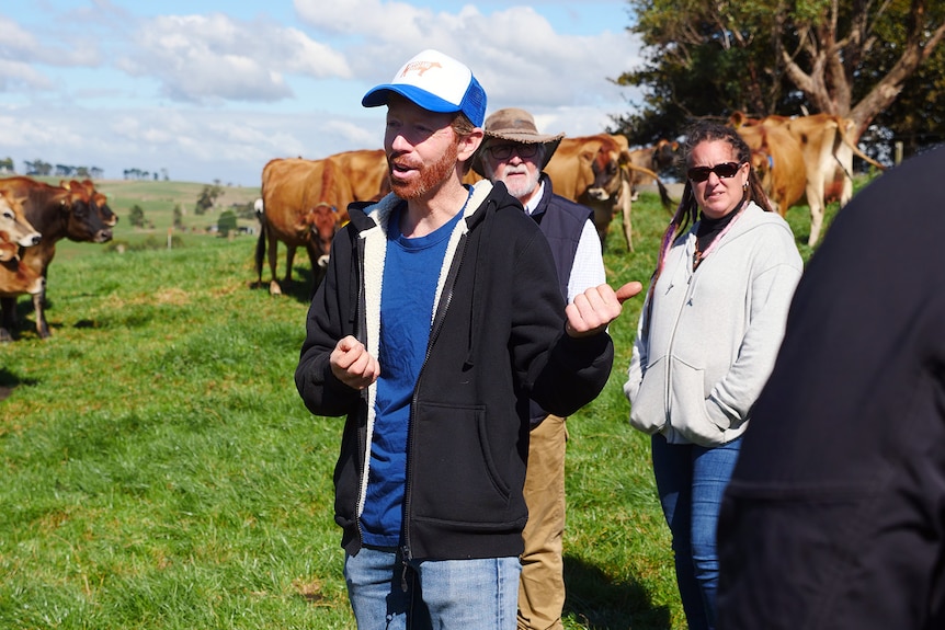 Luke Wallace gestures while standing in a paddock full of green grass. People and brown Jersey dairy cattle in the background.