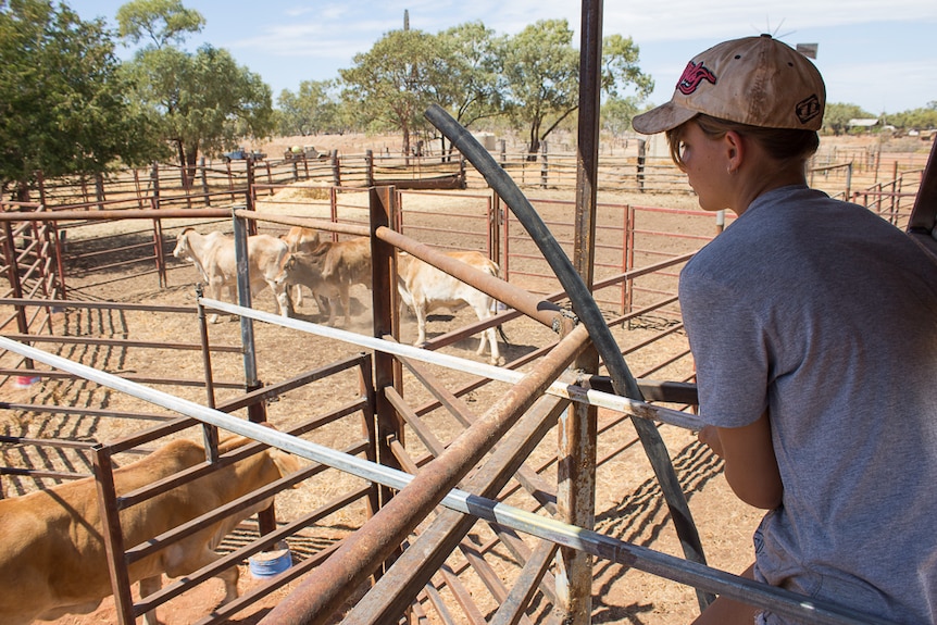 John Luther's daughter Tameeka works in the cattleyards