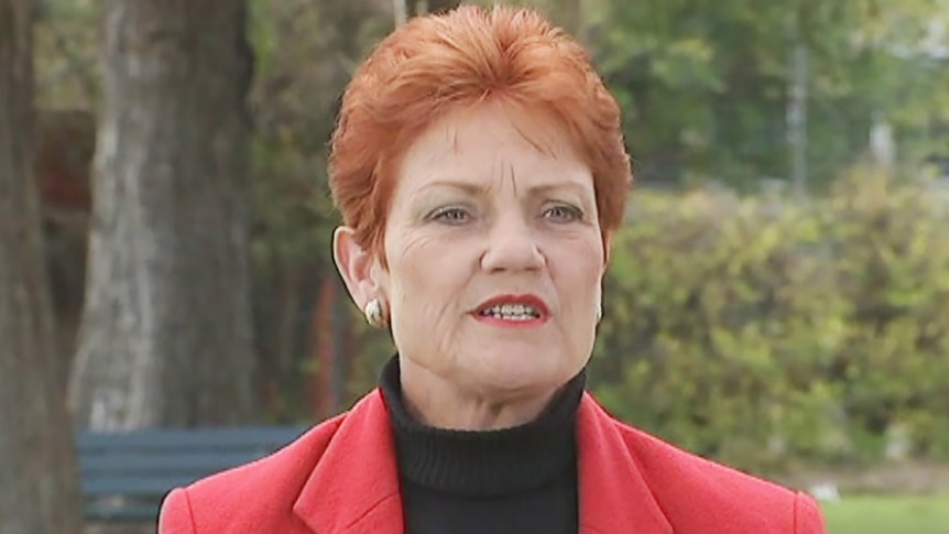 Pauline Hanson speaks to reporters