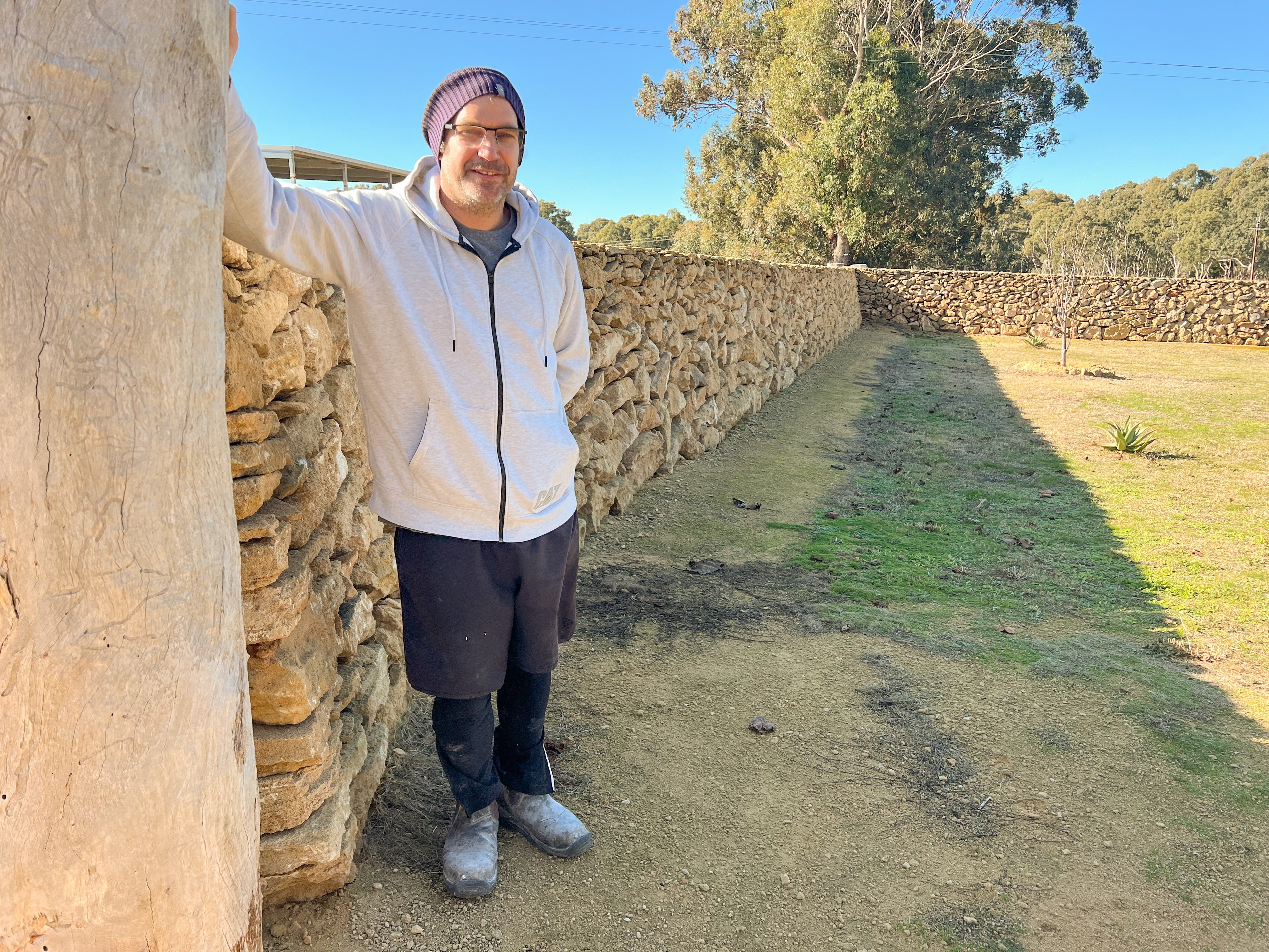 A man in casual clothes rests against a large tree trunk and a drystone wall