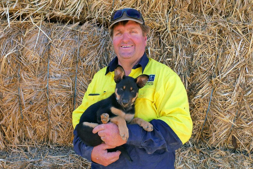 Transport operator Mick Pratt holds his puppy as he stands in front of a pile of hay bales.