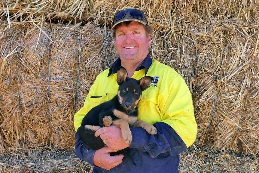 Transport operator Mick Pratt holds his puppy as he stands in front of a pile of hay bales.