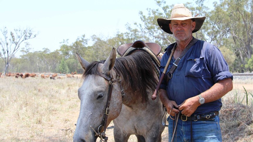 David Hay with his horse and cattle on the road in western Queensland.