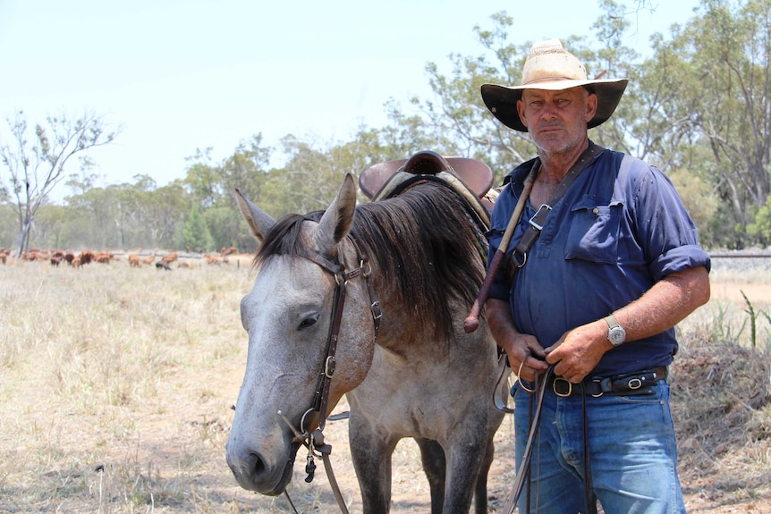 David Hay with his horse and cattle on the road in western Queensland.