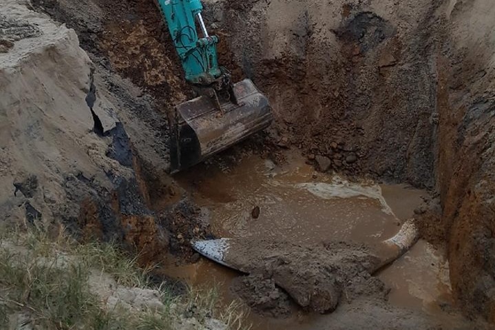 Heavy machinery digging deep hole in the sand on Port Macquarie beach with dead humpback whale at the bottom.